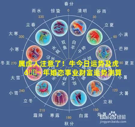 属虎人注意了！牛今日运势及虎 🐬 年婚恋事业财富运势测算